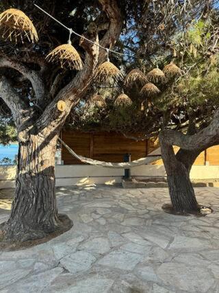 ISOLELLA , villa pieds dans l'eau Pietrosella Dış mekan fotoğraf